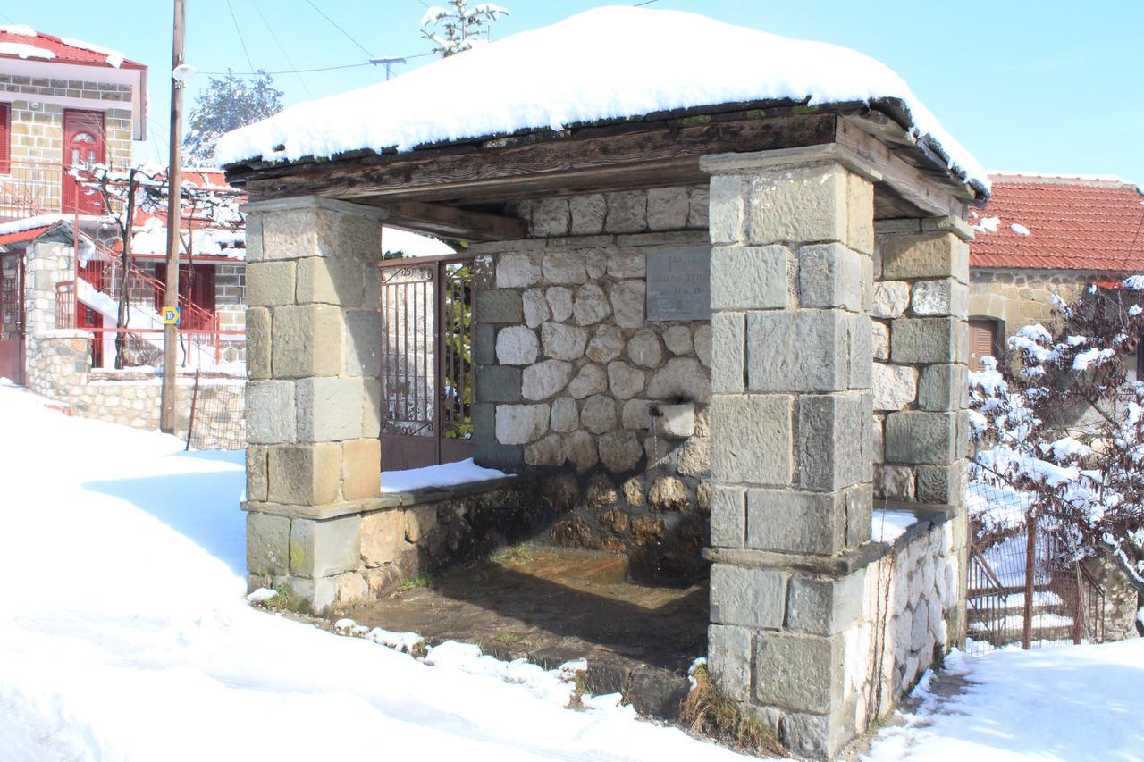 Pasithei Holiday home *